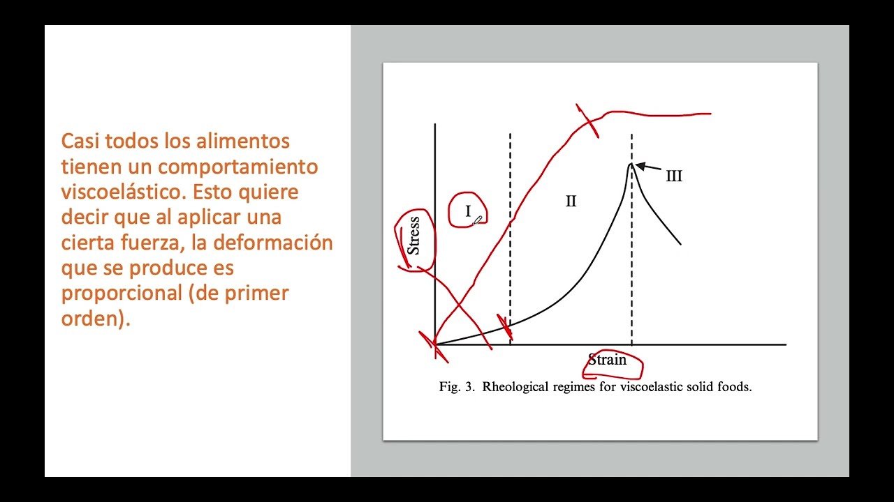 Modulo de Young (análisis de textura en alimentos)
