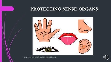 3RD STD SCIENCE PROTECTING SENSE ORGANS | SLN MATRICULATION SCHOOL