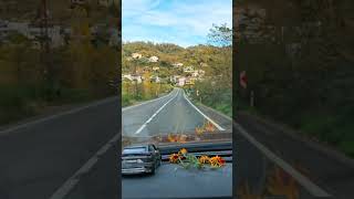 Ferdi Tayfur Bak Benim İçin 21/11/24