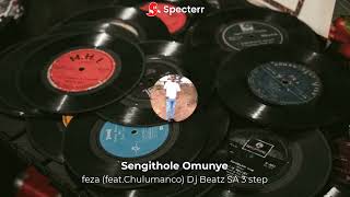 Sengithole Omunye - feza ( feat.Chulumanco ) Dj Beatz SA remix
