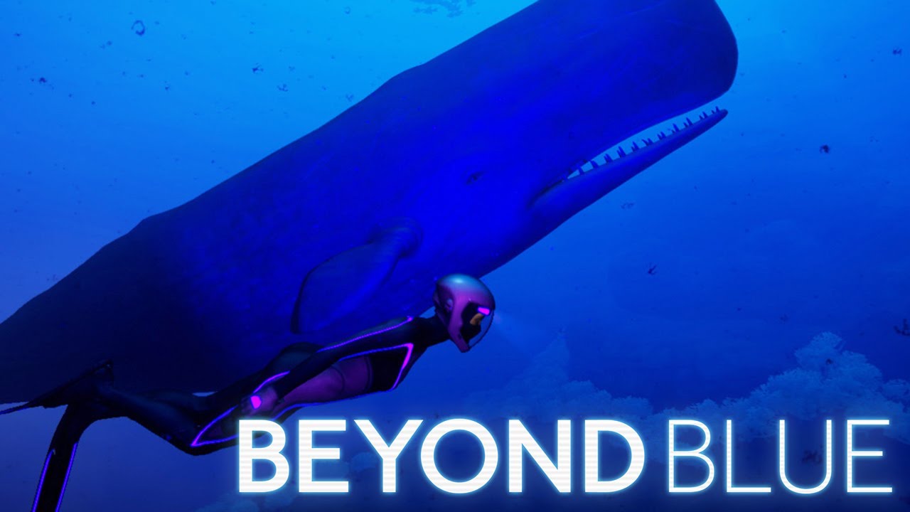 The Ocean Within Us 🌊 Beyond Blue • Finale - YouTube