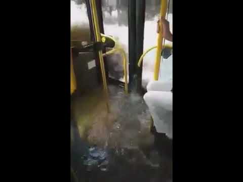 Metropolia