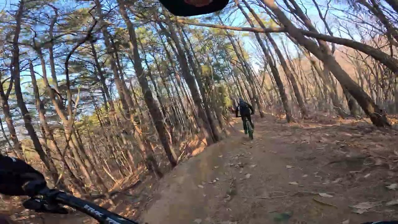 형제1 초짜형님