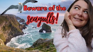 Things you should NOT do on holiday in Cornwall (especially number 9!)