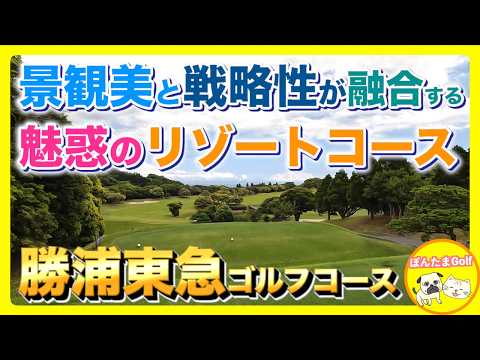 【勝浦東急ゴルフコース】戦略的OUTコースを徹底紹介！絶景と挑戦が待つ後半戦