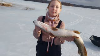 СНОВА ЗА ЩУКОЙ. ДОЧЬ ЛОВИТ ОГРОМНЫЙ ЭКЗЕМПЛЯР. Неплохой клев щуки в конце марта 2024 года.