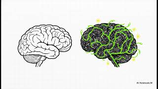What causes the intense brain fog and forgetfulness during perimenopause? | WHC Clinical FAQ
