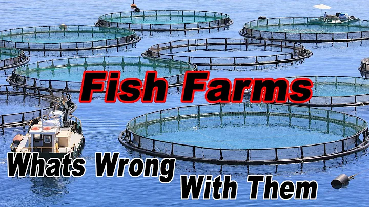 What Problems Are There With Fish Farms(Aquacultur...