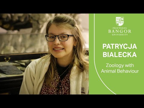 What Colleges Offer Animal Behavior Degrees