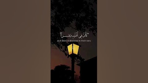 #المصحف القرآن الكريم