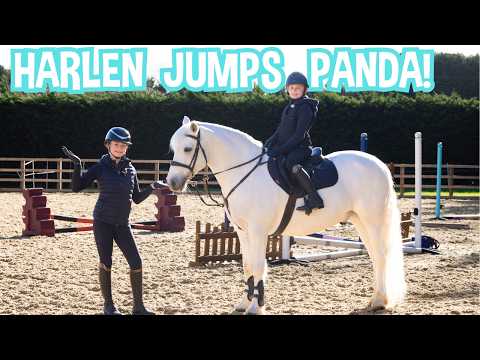 Harlen JUMPS my pony PANDA! thumbnail