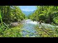 CRYSTAL CLEAR RIVER FLOW LIVE – NATURE’S ASMR AMBIENCE FOR RELAX, STUDY &amp; INNER PEACE