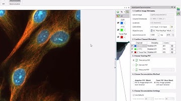 Image-Pro v11: AutoQuant Deconvolution