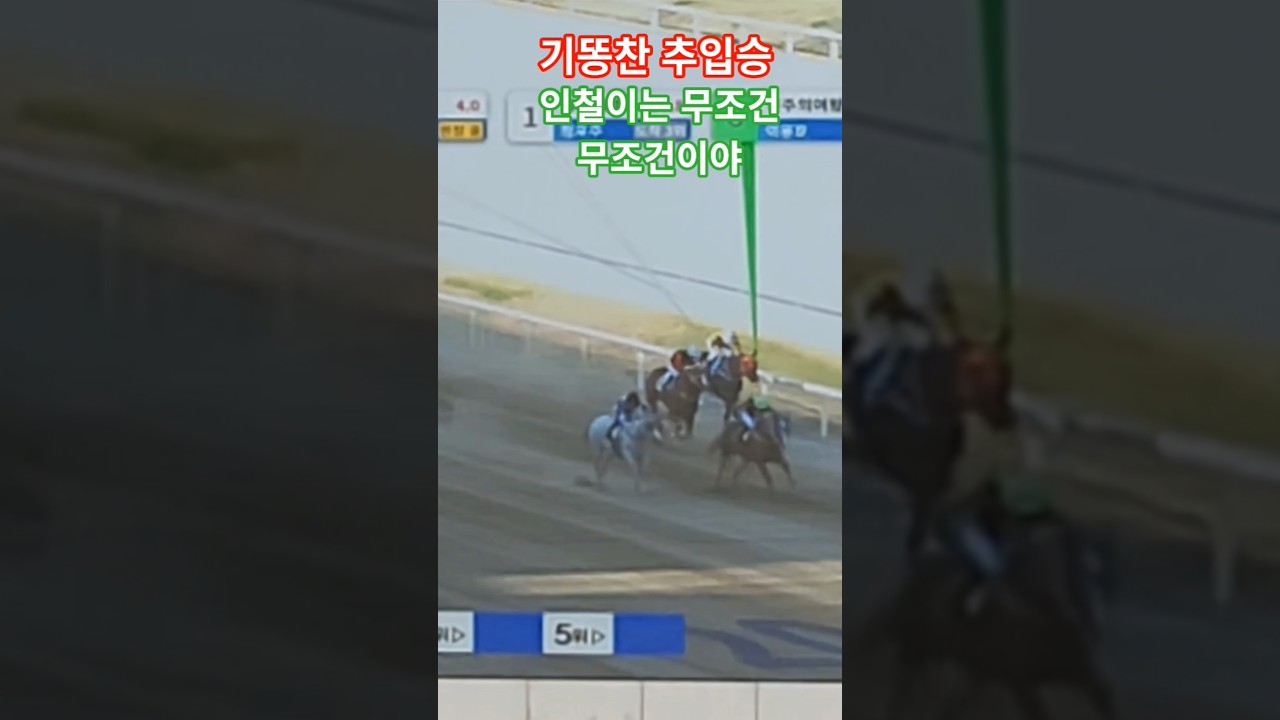 날라와서 코차승#경마 #말 # 달려라말 #shorts
