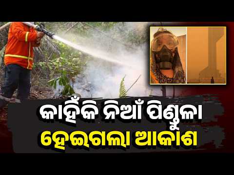 ଜଳୁଛି ଜଙ୍ଗଲ, ବଢ଼ୁଛି ବିପଦ! ଅଲ୍‌-ନିନୋ ଯୋଗୁଁ ବଢ଼ିବ କି ସଙ୍କଟ? #knewsodisha