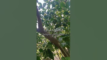 اكتب شيء تؤجر عليهـ❣ـہ 🤍🕊.القارئ : عبد الرحمن مسعد