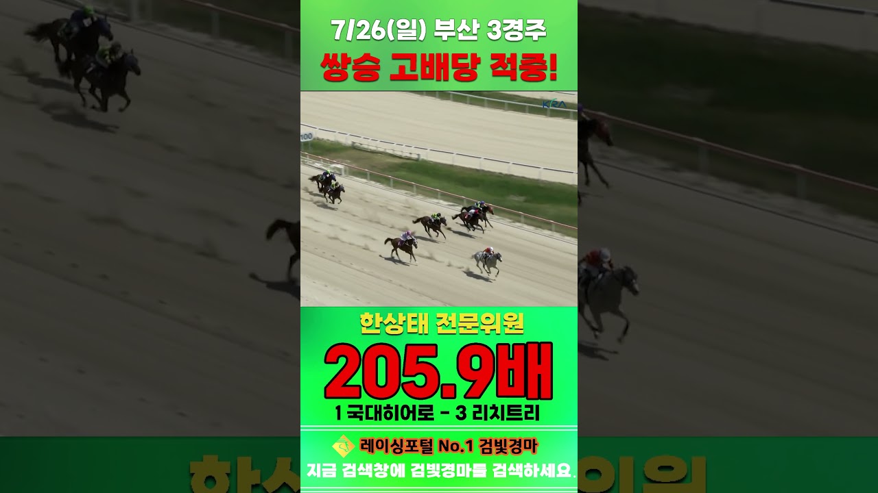 [부산 경마] 7월 26일 일요 3경주 한상태 전문위원 쌍승 고배당 적중 #한국마사회 #horse #하이라이트 #automobile #경마 #riding #게임 #racing