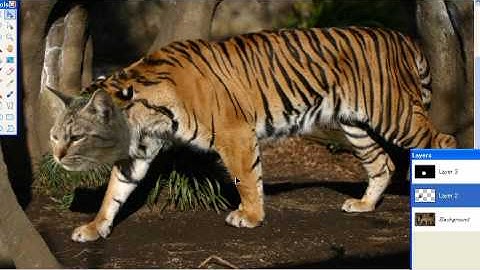 Tigercat made in Paint.NET