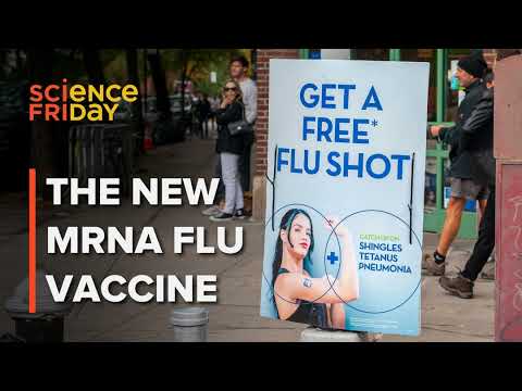 The science and politics of the new mRNA flu vaccine