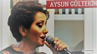 Aysun GÜLTEKİN Nenni Bebek Resimi