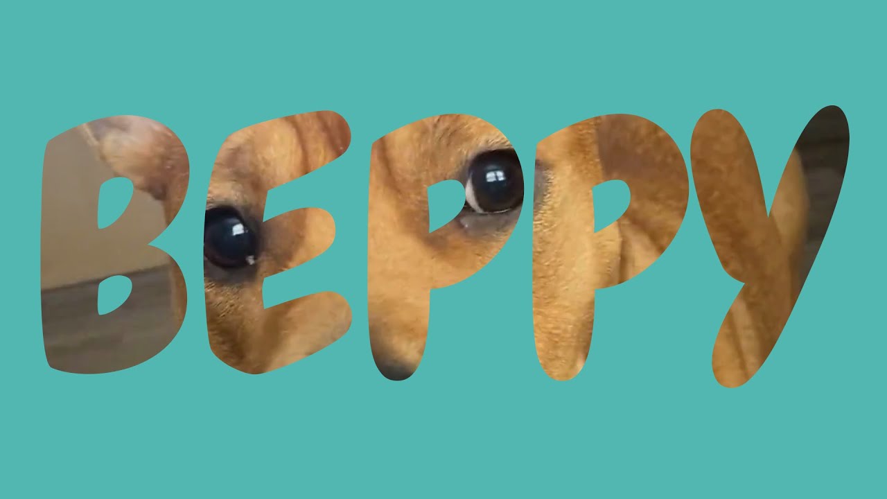 Beppy!