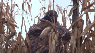 MI DNR Managed Waterfowl Hunt Area: Nayanquing Point