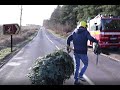 Getting my own Christmas Tree from a forest with my Fire Engine
