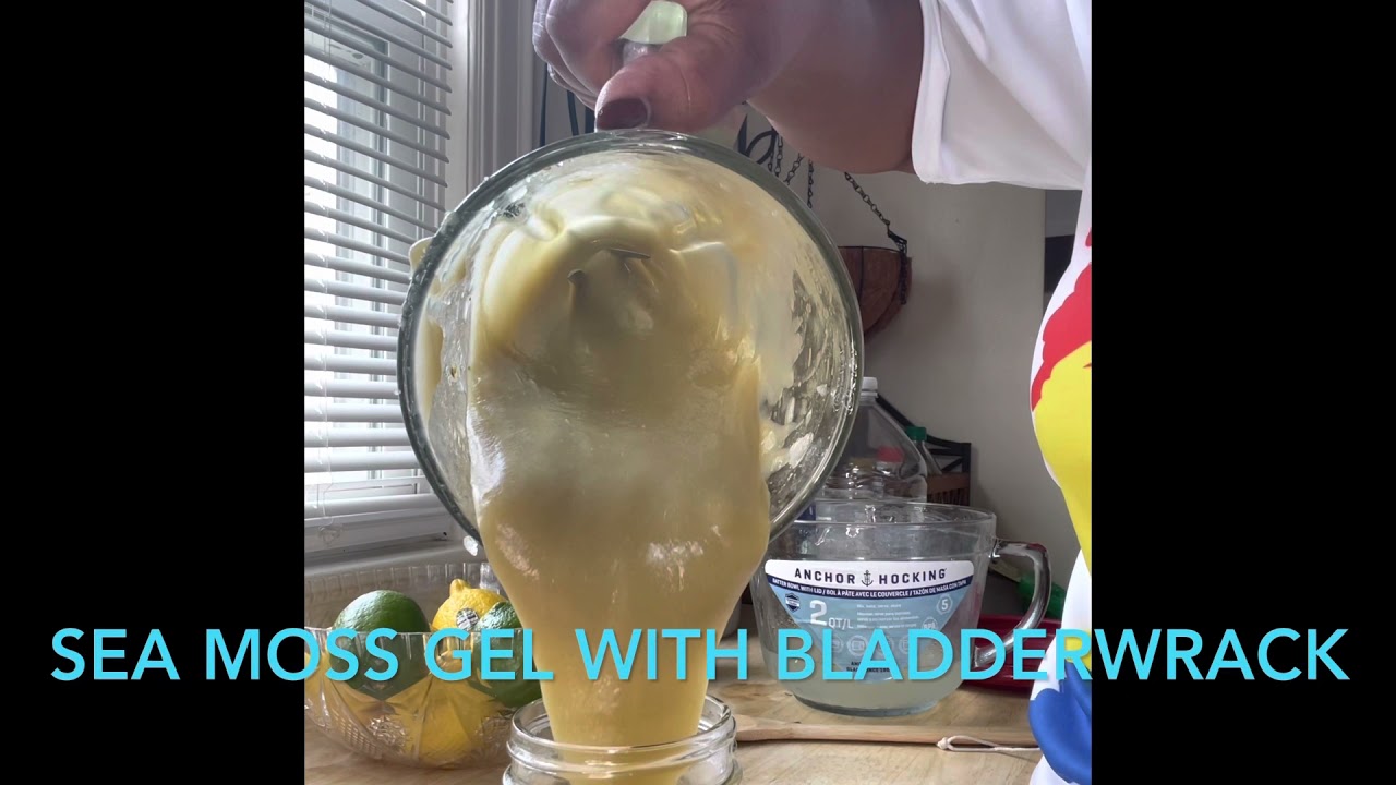 Sea Moss with Bladderwrack