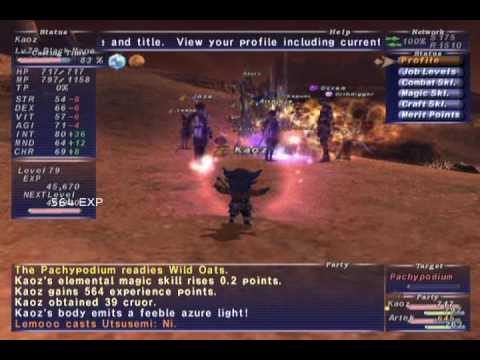 Video: Final Fantasy XI Abyssea Edition Inkommande