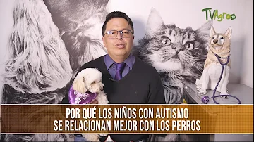 ¿A los niños autistas les gustan los perros?