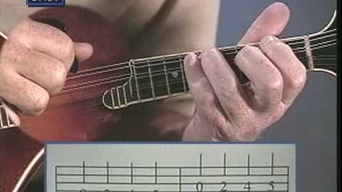 Watch & Learn Introduction to Mandolin DVD