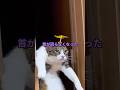 じいちゃんと俺の秘密とは…
