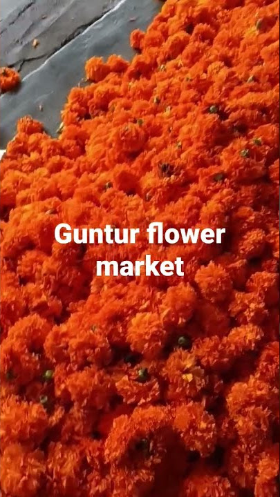 Guntur flower market red Banti
