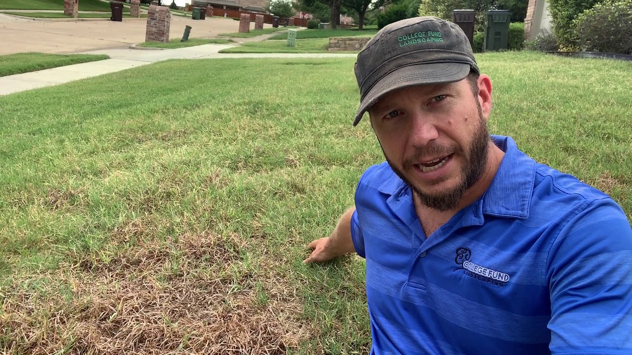 Large area of Weeds Controlled Please have patience while grass fills