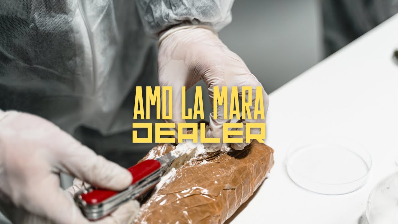 AMO LA MARA - DEALER (Official Video)