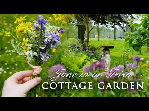 June in the cottage garden | a day in my life | country living | cottage garden design thumbnail