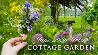 June in the cottage garden | a day in my life | living in the Irish countryside | small business