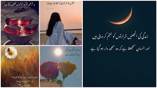 Urdu Quotes | Urdu Poetry | Maheer Khan