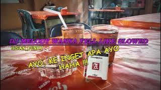 DJ MELODY SLOWED KANE VIRAL TIKTOK