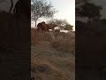 واحد سوف يستيقظ