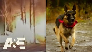 Police \& Firefighters Led to House Fire By Family’s German Shepherd | An Animal Saved My Life | A\&E