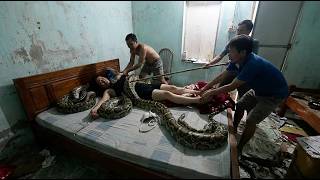 Terrifying Giant Python Attack in Bedroom 😱 Woman Trapped as Rescue Team Fights to Save Her