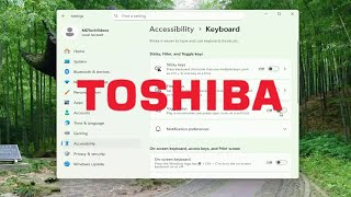 How to Turn On Toggle Keys on Toshiba Laptop [Guide]