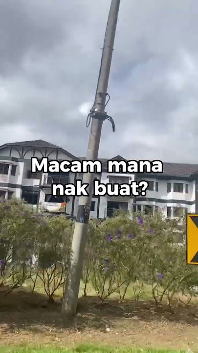 Tak ramai tahu Buku Story 100% guna AI, sales 3k
