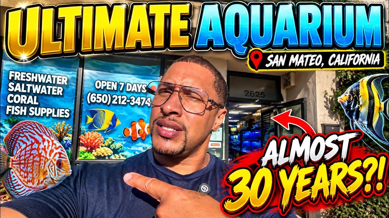 👑🐟 A CROWN JEWEL OF THE AQUARIUM HOBBY!! ALMOST 30 YEARS OF EXCELLENCE!! 🔥🔥