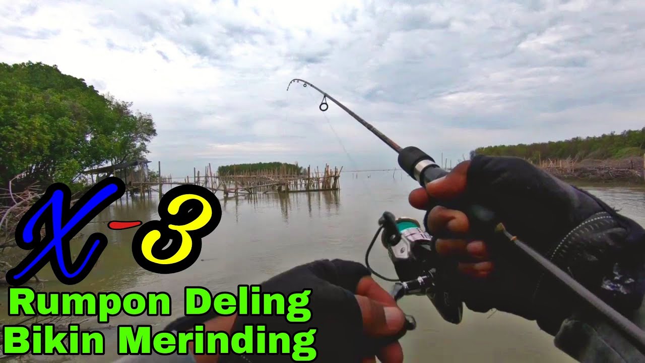 EDYAAN !! SAMBARAN PENGHUNI RUMPON PAKAI UMPAN JITU[[ DELING KALI 3[[MANCING SEMARANG