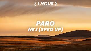 [ 1 Hour ] Nej - Paro (sped up) | allo allo tik tok song