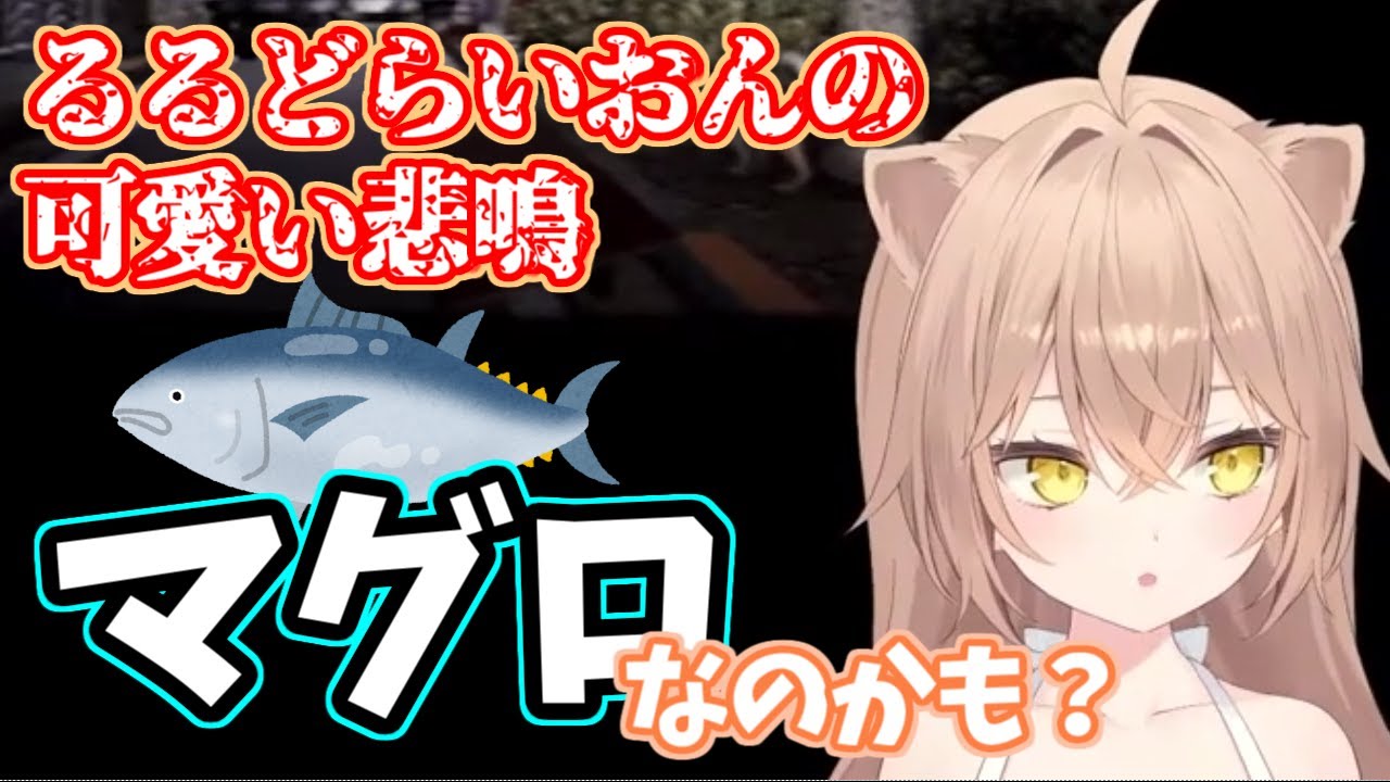 【るるどらいおん】反応が薄い…マグロなのかもしれない