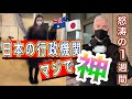オーストラリア家族の日本生活準備。素晴らしいサービスありがとう！