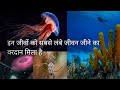 ऐसा जीव जो सबसे लंबी उम्र तक जीवन जीता है🤷🙋 sabse adhik umra tak jeene wale jeev (LEON INDIA)